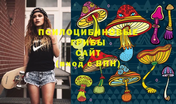 герыч Новодвинск