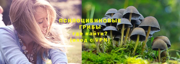 герыч Новодвинск