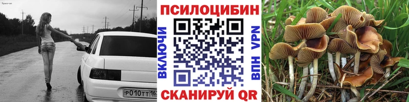 Псилоцибиновые грибы мицелий  Ялта 