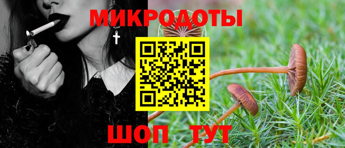 Галлюциногенные грибы ЛСД  Псилоцибиновые грибы ЛСД  Вход с VPN  Ялта 