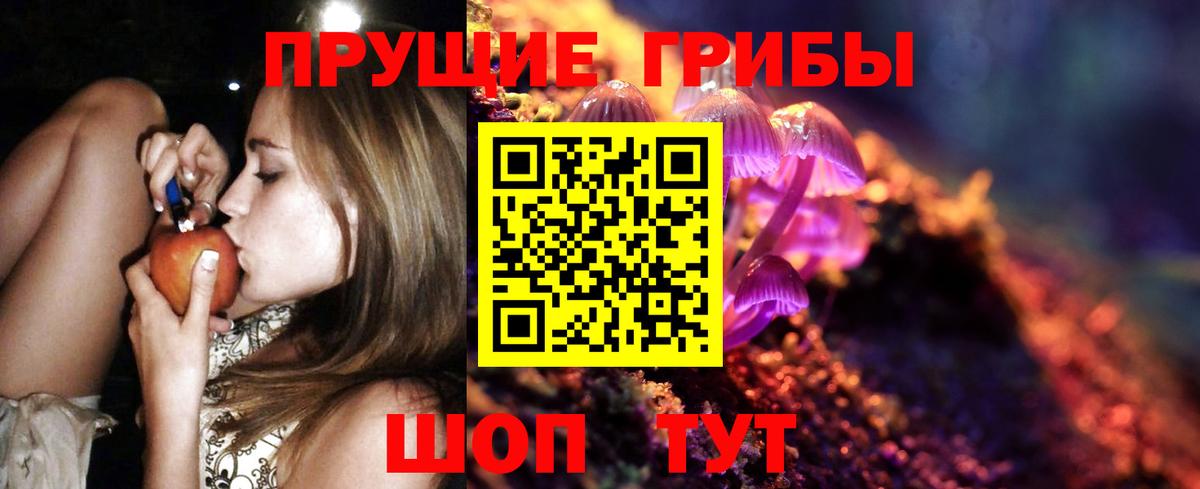 Псилоцибиновые грибы прущие грибы Ялта